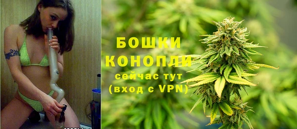 Альфа ПВП Горнозаводск