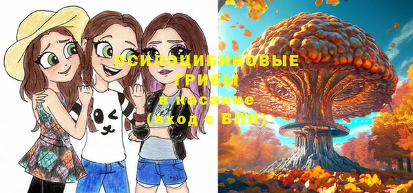 хмурый Горно-Алтайск