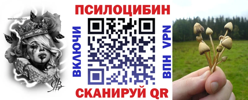 цены   Шуя  Галлюциногенные грибы Magic Shrooms 